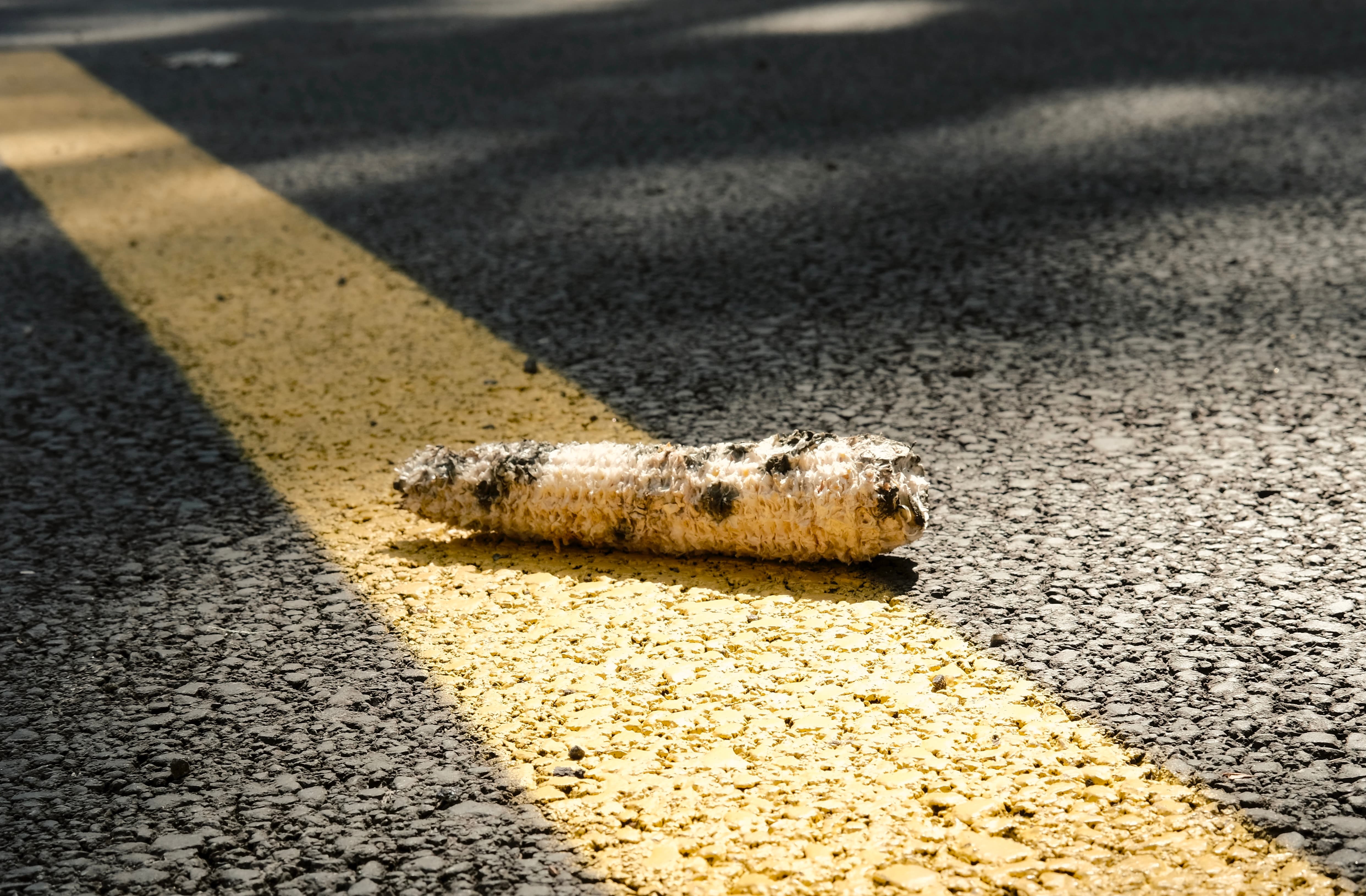 a corn cob on the pavement