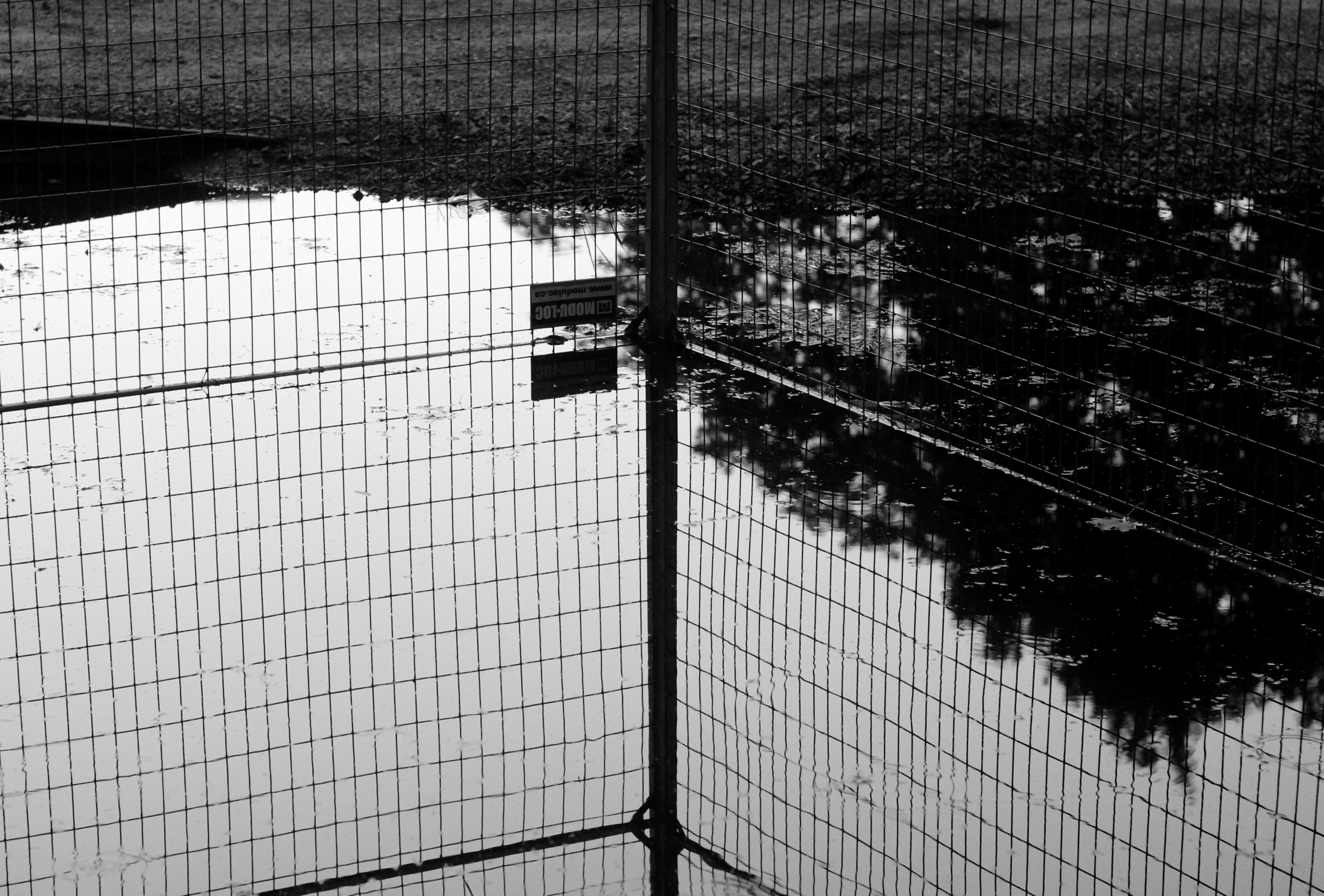 reflection in standing water