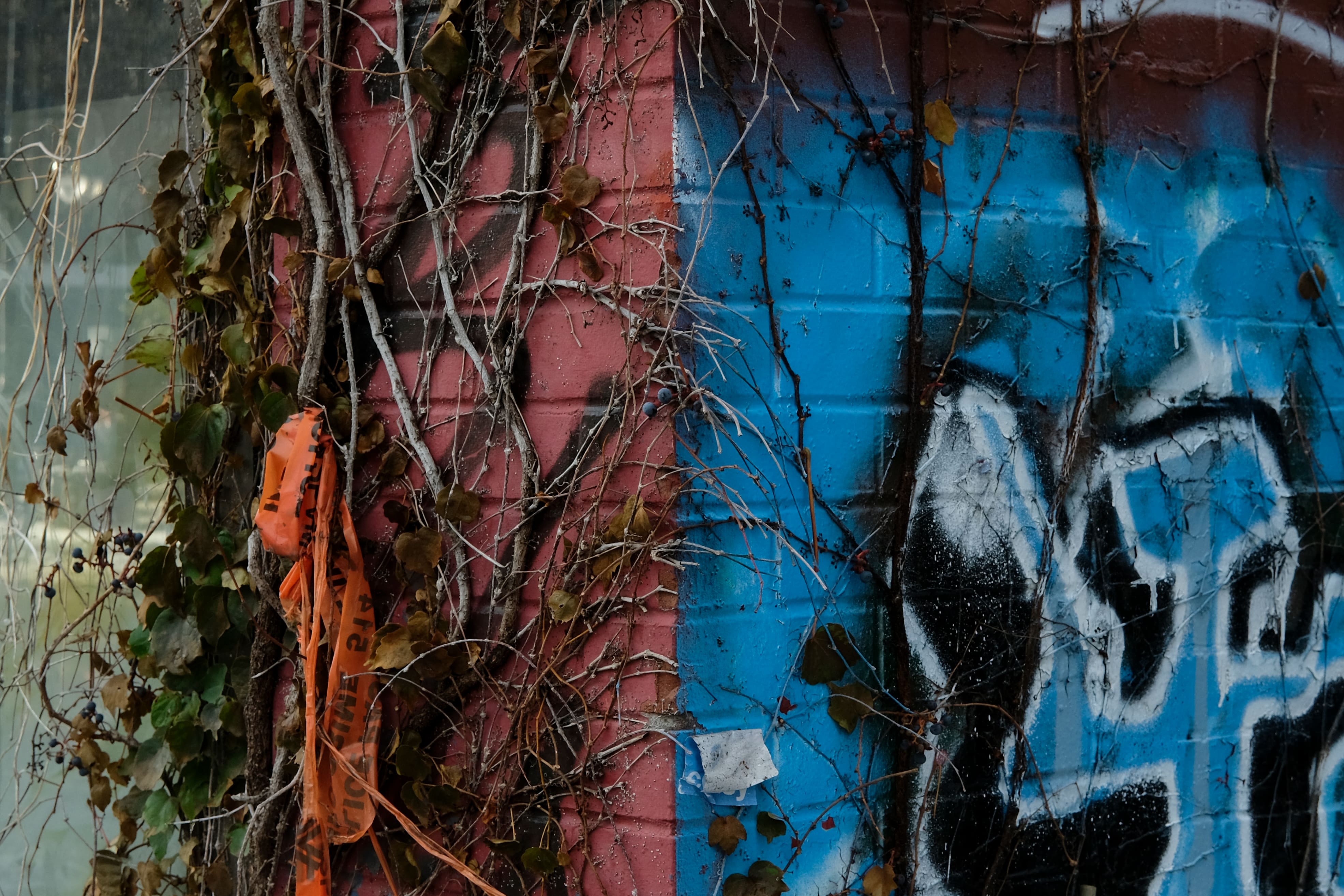 graffiti painted street corner
