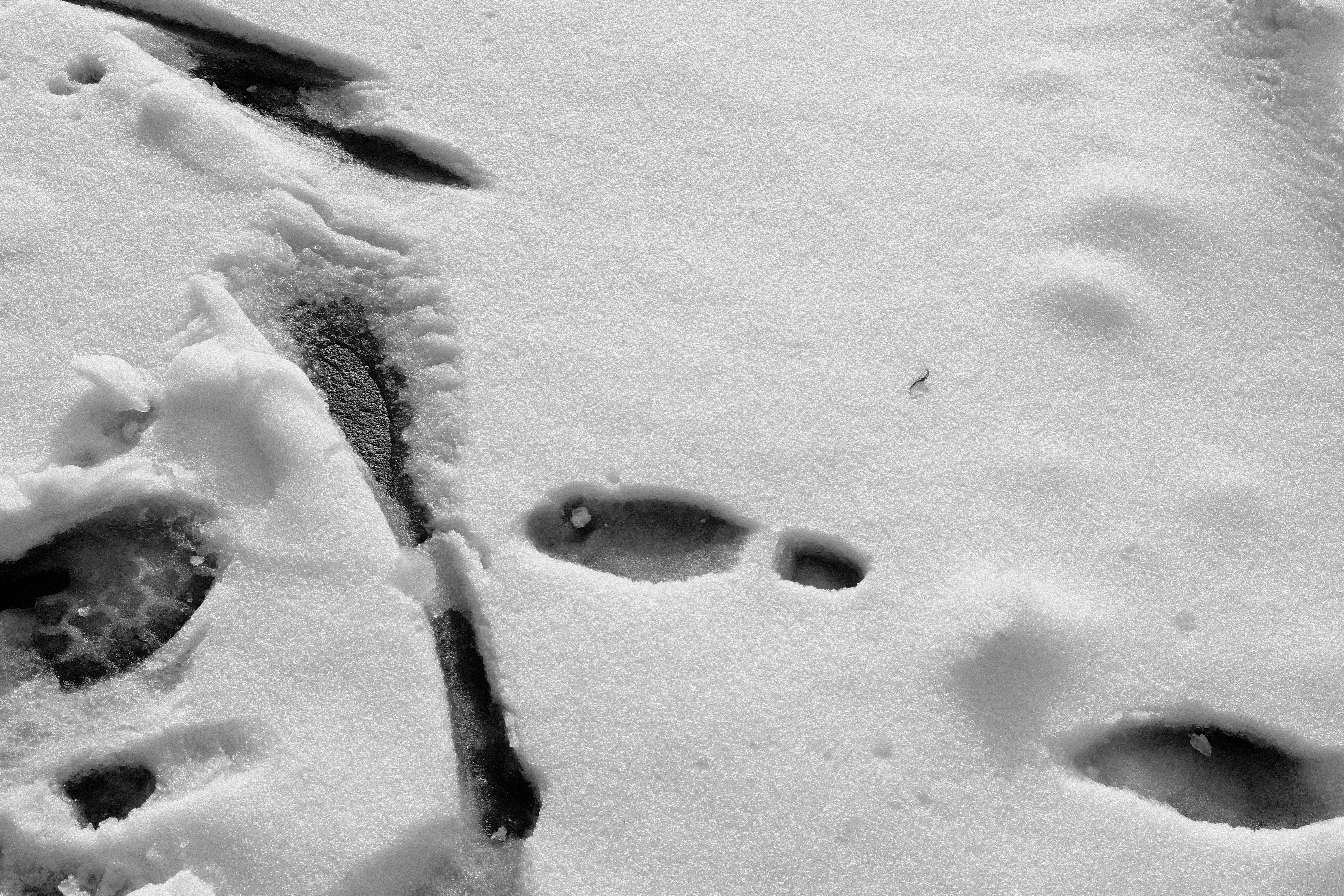 footprints in fresh snow