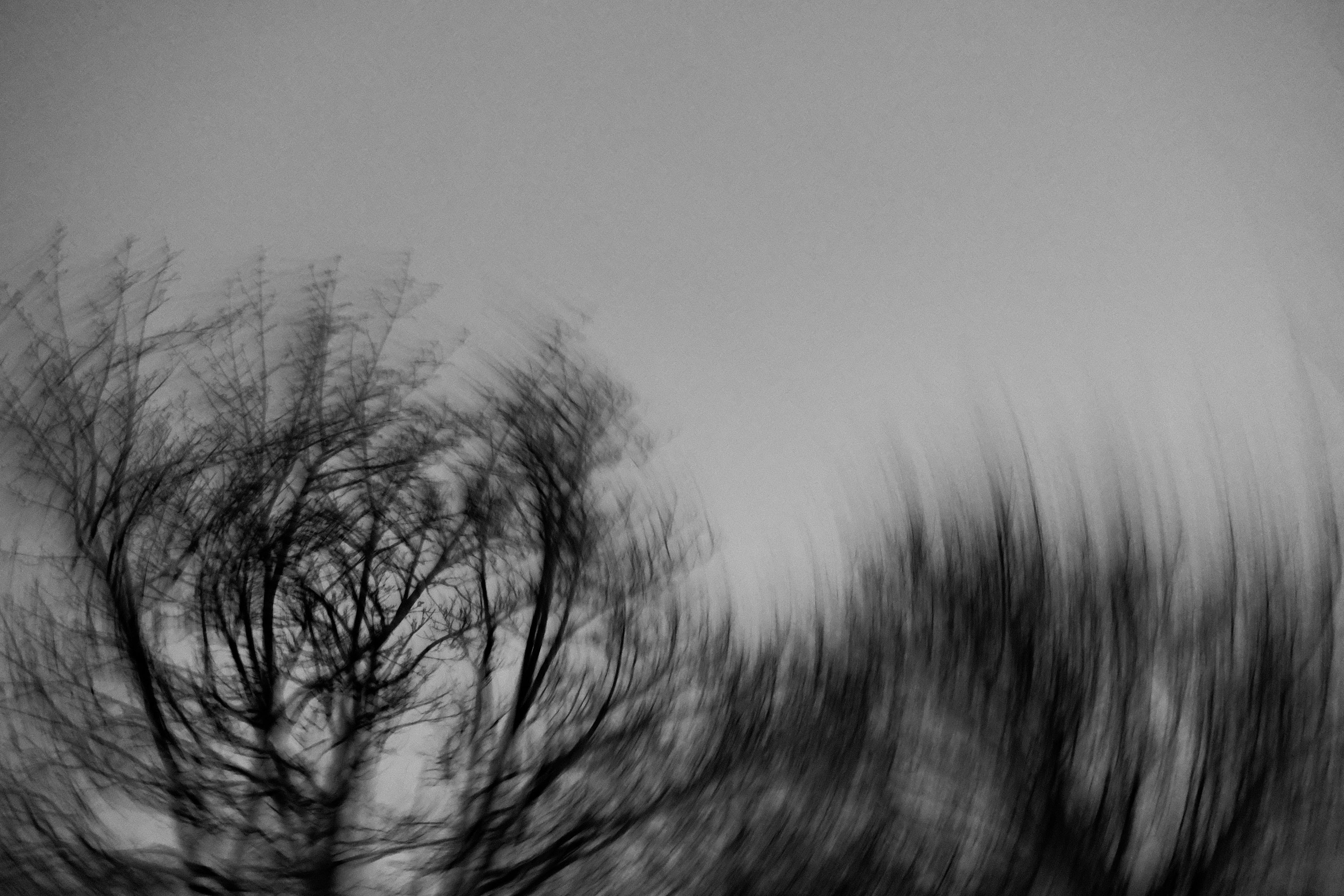 ephemera