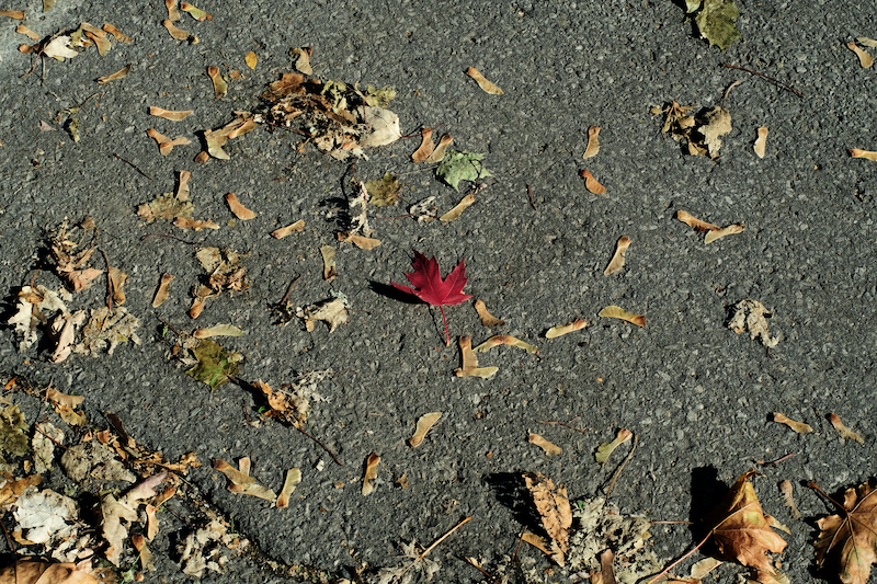 ephemera