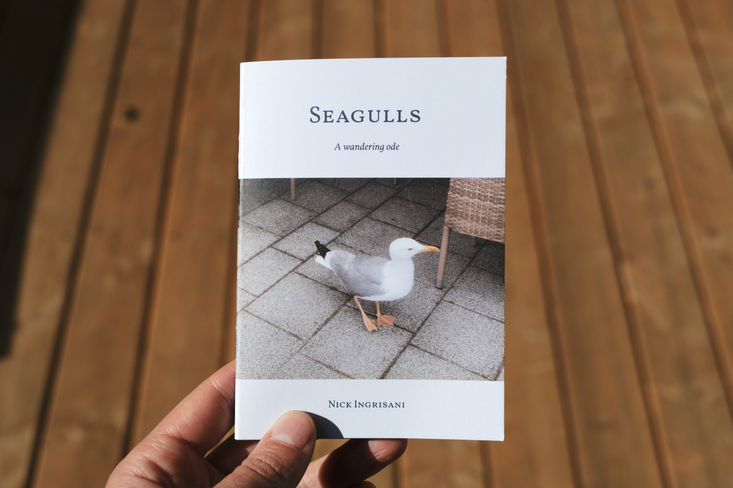 Seagulls